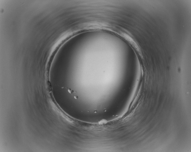 X0000063461384200601201235