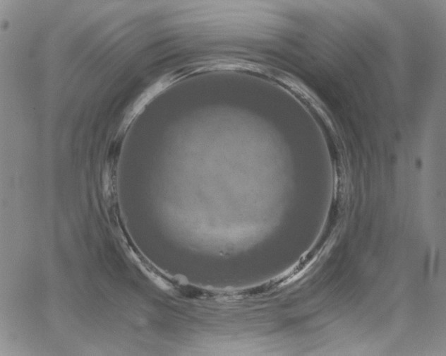 X0000063461385200601201235