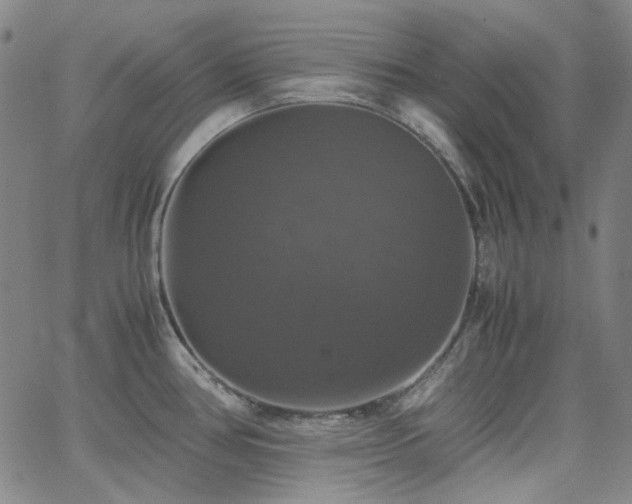 X0000063461386200601201235