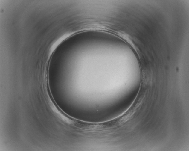 X0000063461387200601201235