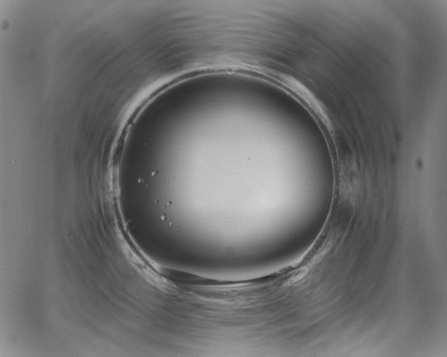 X0000063461388200601201235