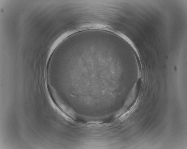 X0000063461389200601201235