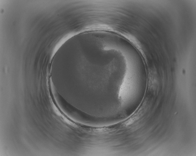 X0000063461390200601201235