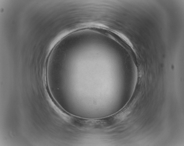 X0000063461391200601201235