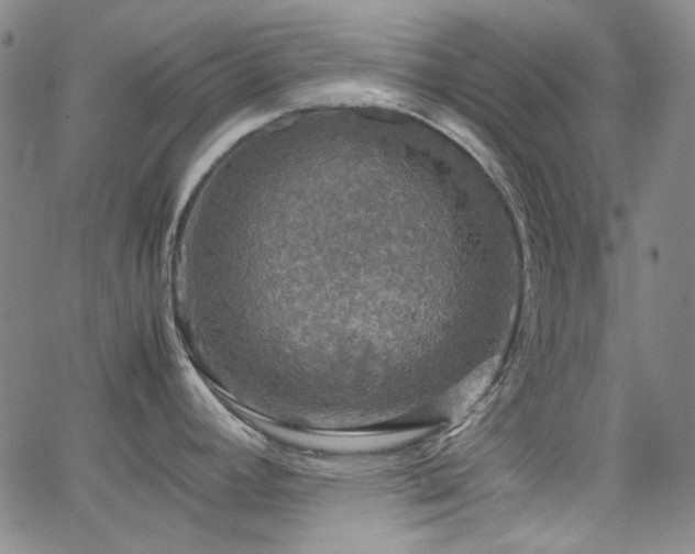 X0000063461392200601201235