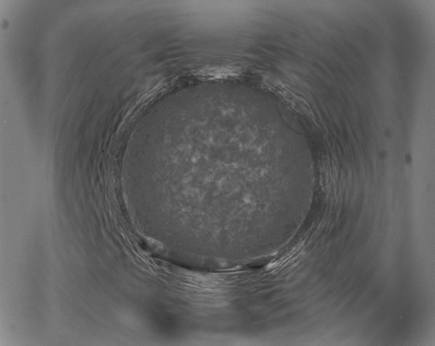 X0000063461393200601201234