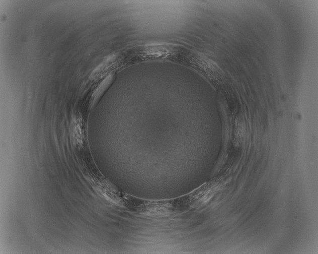 X0000063461394200601201234