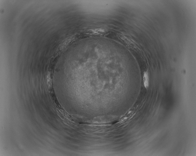 X0000063461395200601201234