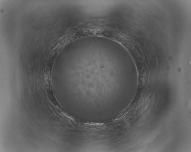 X0000063461397200601201234