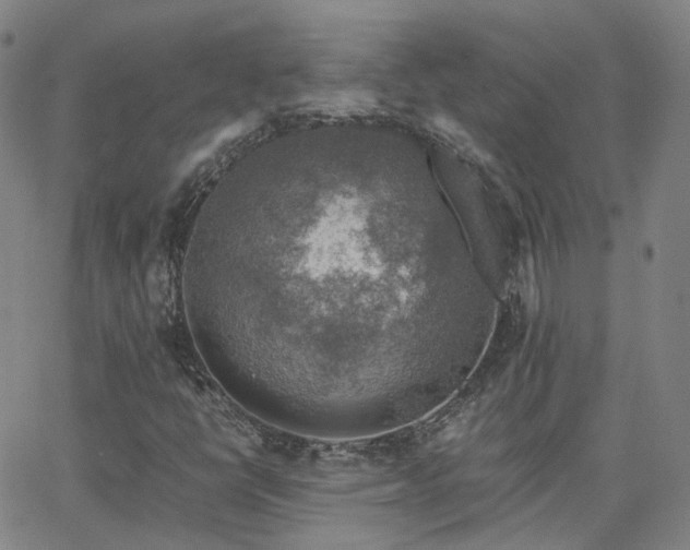 X0000063461398200601201234