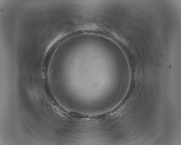 X0000063461400200601201234