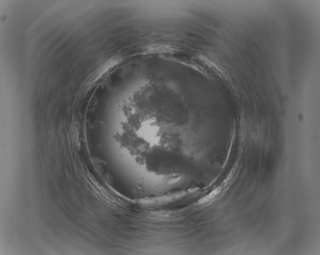 X0000063461401200601201234