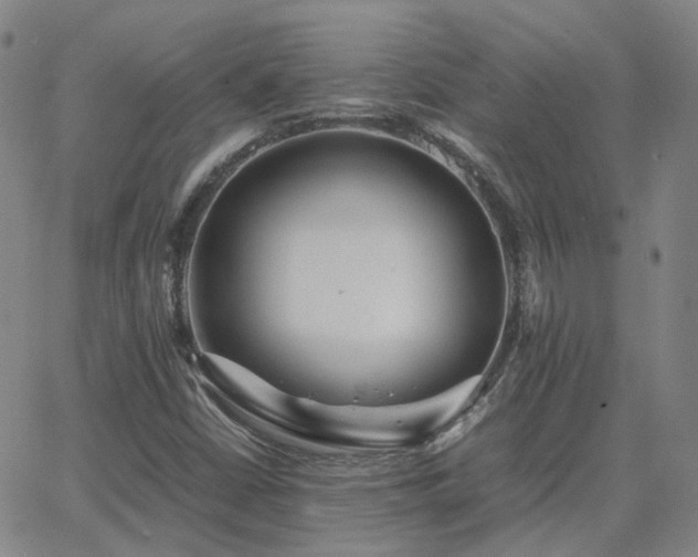 X0000063461402200601201234