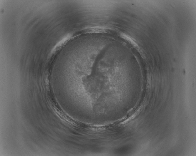 X0000063461403200601201234