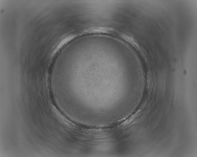 X0000063461404200601201234