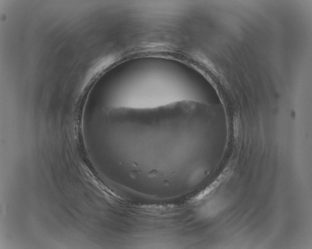 X0000063461405200601201234