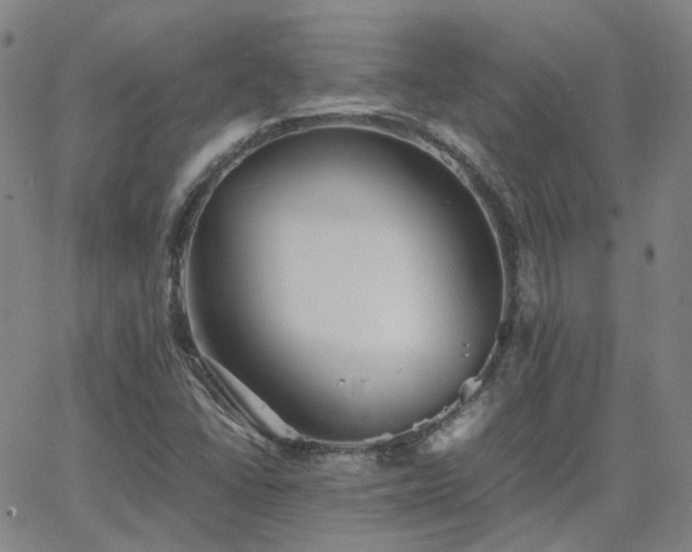 X0000063461406200601201234