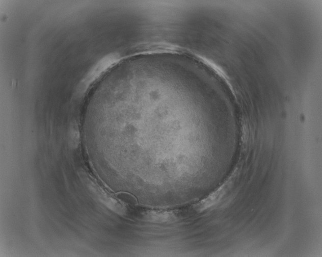 X0000063461407200601201234