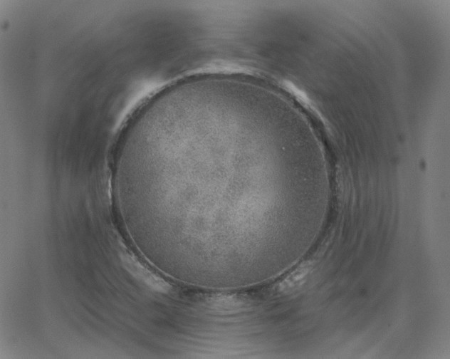 X0000063461408200601201234