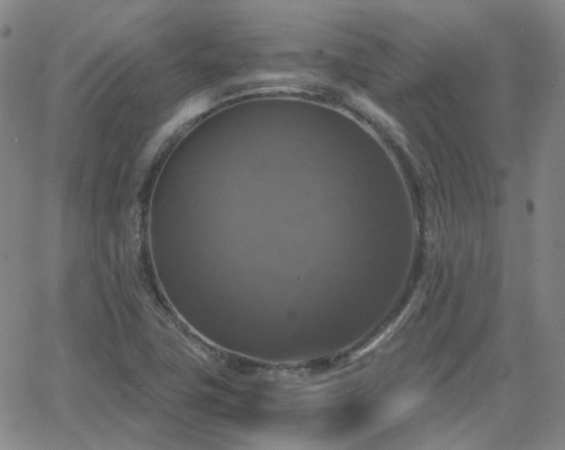 X0000063461411200601201234