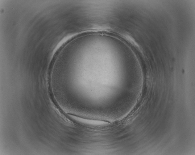 X0000063461412200601201234