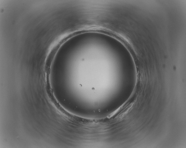 X0000063461414200601201234