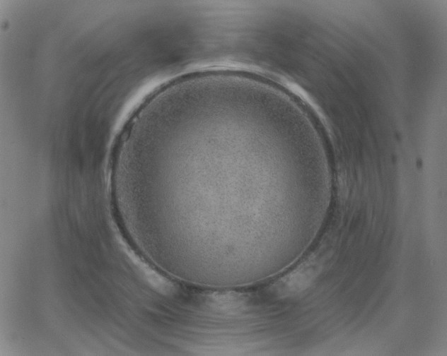 X0000063461416200601201234