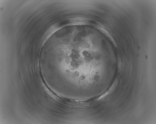 X0000063461417200601201234