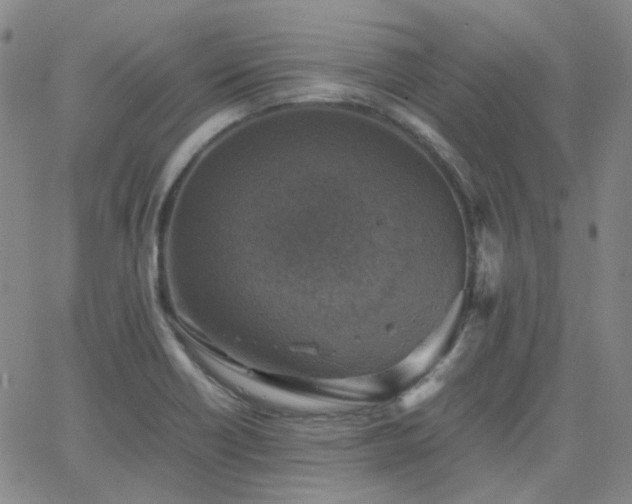 X0000063461418200601201234