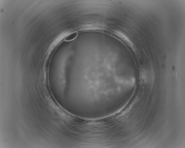 X0000063461419200601201234