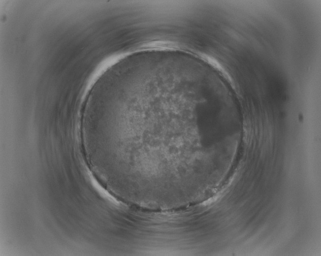 X0000063461421200601201234