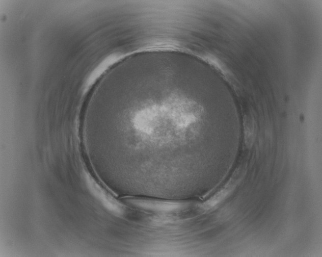 X0000063461422200601201234