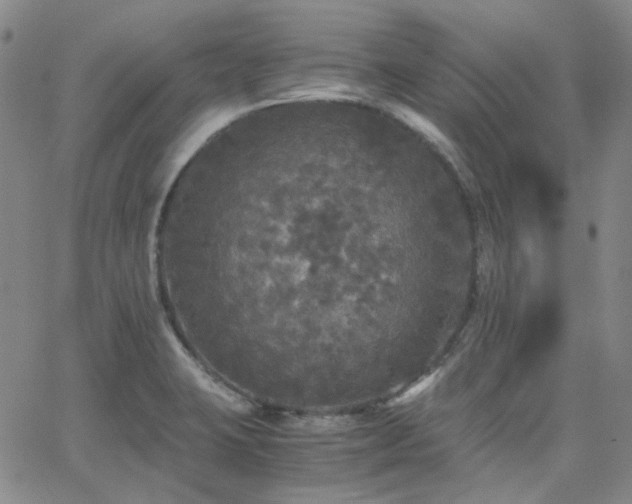 X0000063461423200601201234