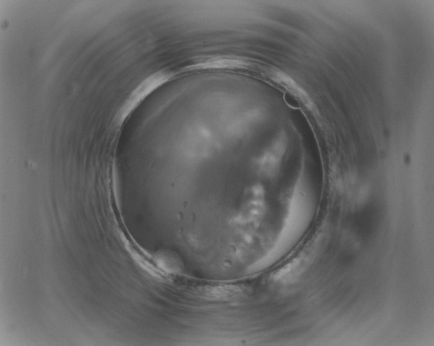 X0000063461425200601201234