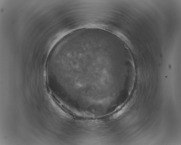 X0000063461428200601201234