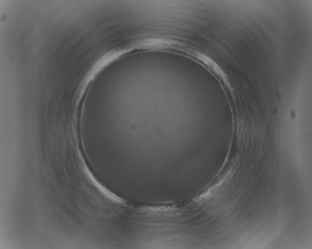 X0000063461429200601201234