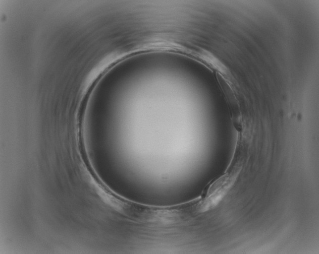 X0000063461430200601201234