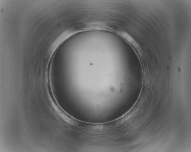 X0000063461431200601201234