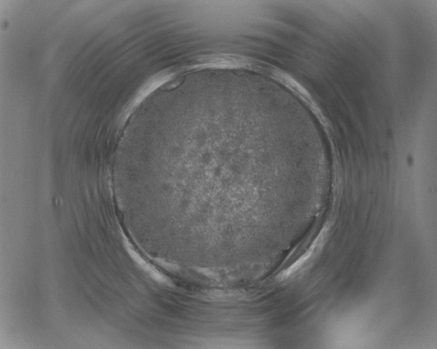 X0000063461433200601201234