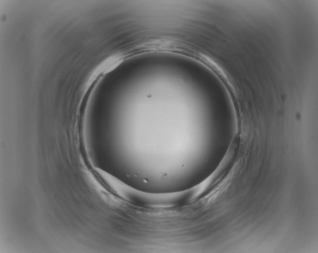 X0000063461434200601201234