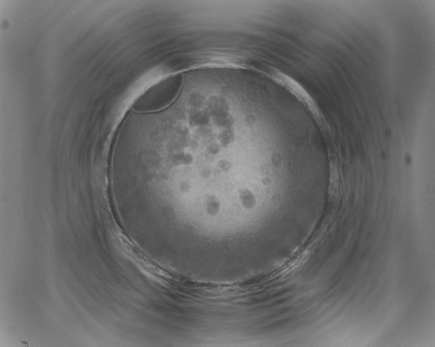 X0000063461435200601201234