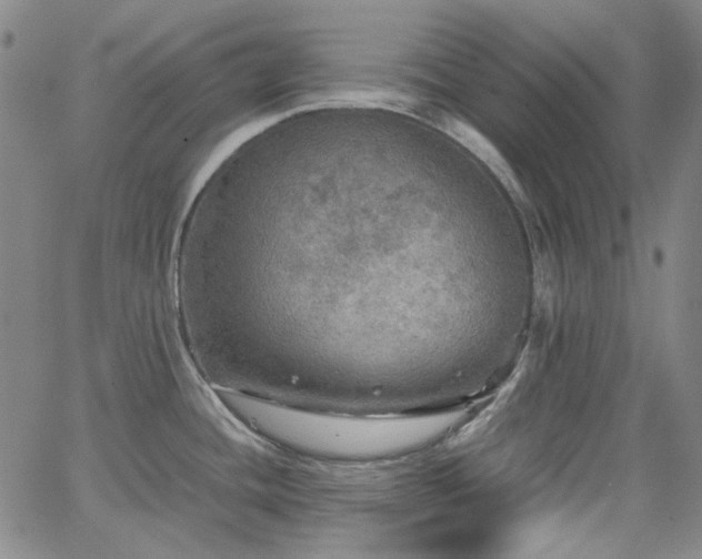 X0000063461436200601201234