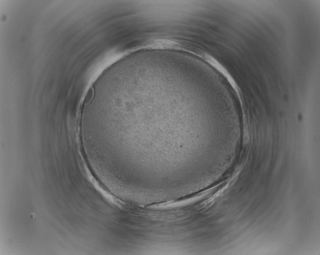 X0000063461437200601201234