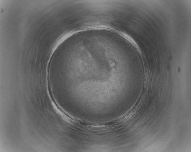 X0000063461439200601201235