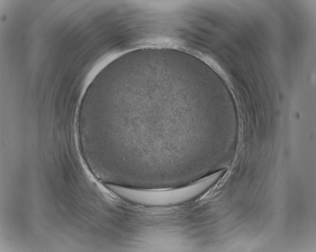 X0000063461440200601201235