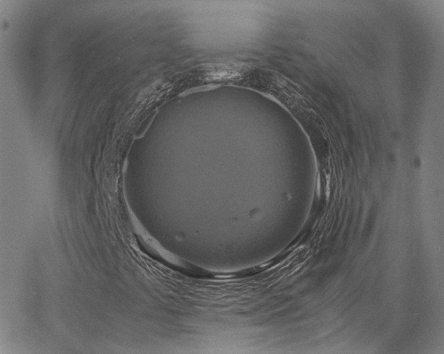 X0000063461441200601201234