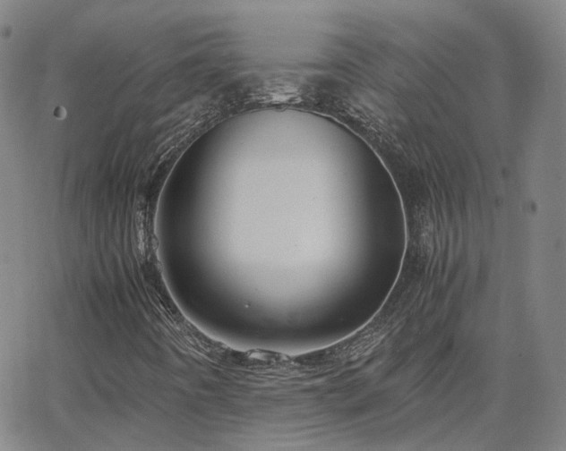 X0000063461442200601201234