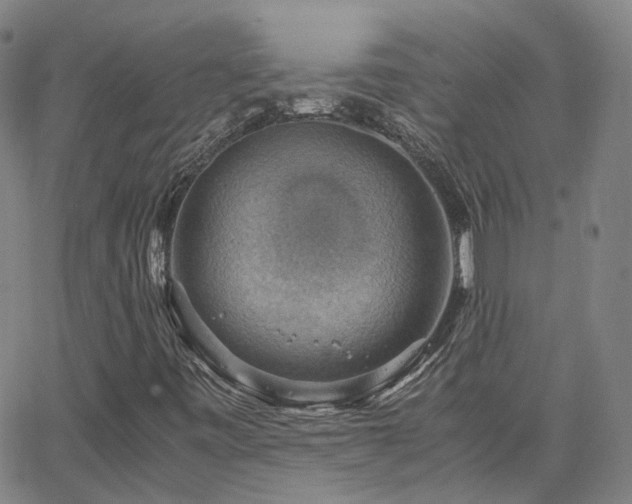 X0000063461443200601201234