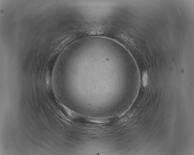 X0000063461444200601201234