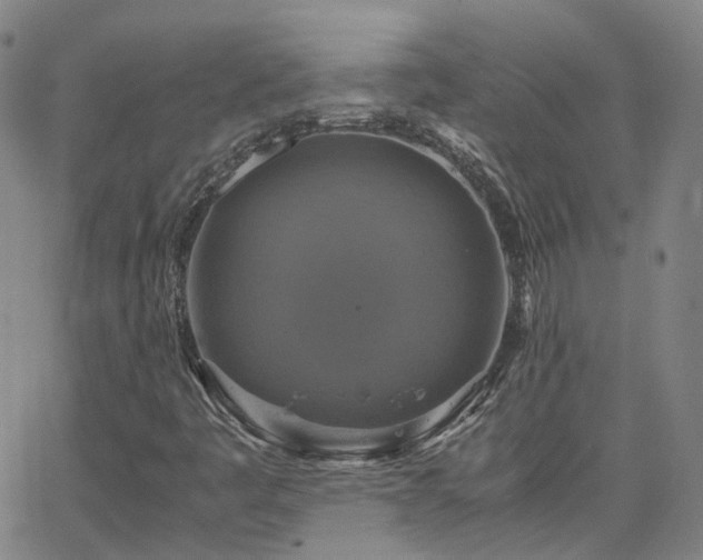 X0000063461445200601201234